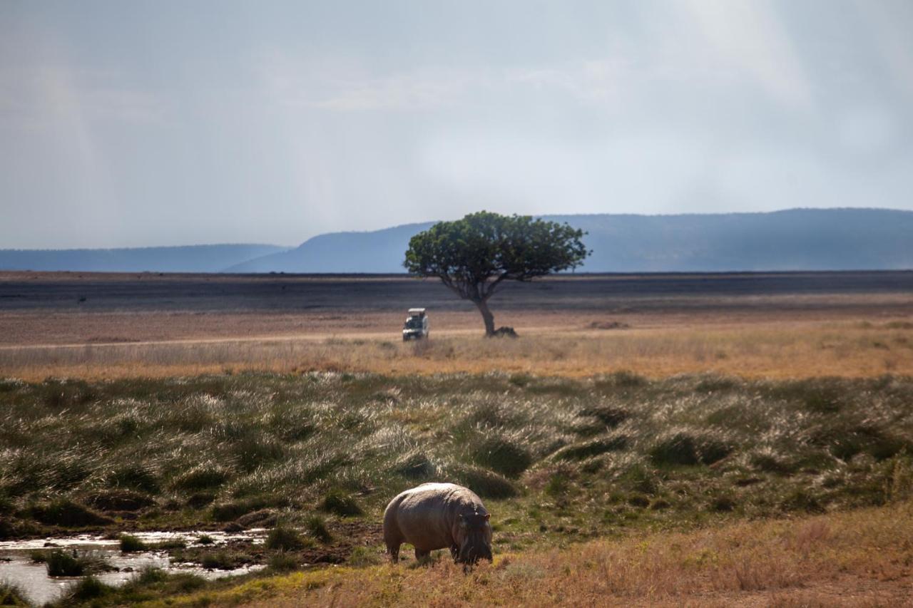 Serengeti Mawe Camp Exterior foto