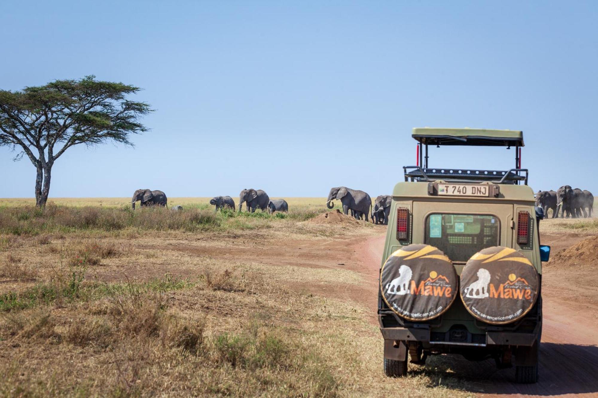 Serengeti Mawe Camp Exterior foto